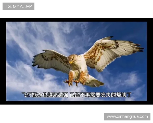 《探秘Elk射手的成长历程与战术应用分析》