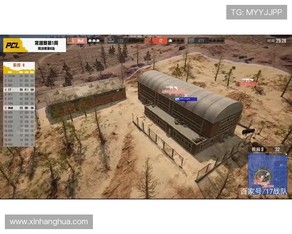 Virtus.pro绝地求生战队崛起之路及其全球电竞影响力分析