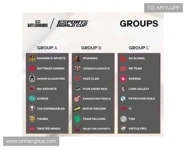 Danawa电子竞技绝地求生战队崛起 持续挑战顶尖赛事荣誉