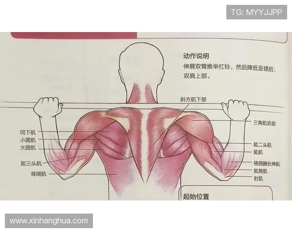 提升体能与竞技水平的全方位运动训练方法与技巧解析