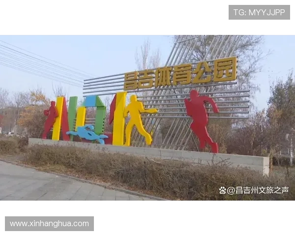 以运动为中心打造全民健康生活新风尚路径探索