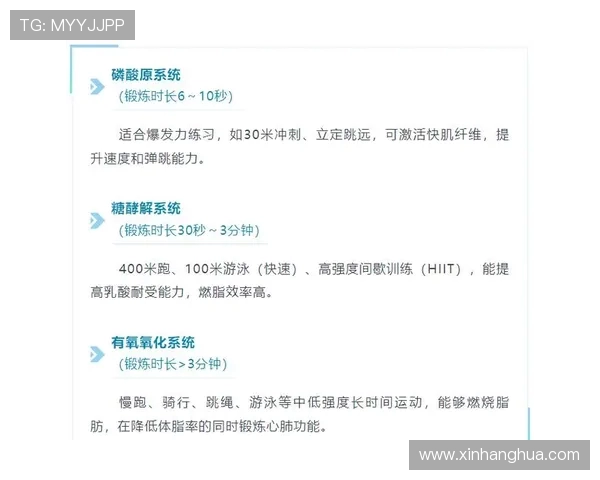 全面提升身体素质的健身计划从饮食到训练技巧的科学指南