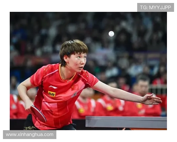 以乒乓球串联体育精神与全球交流及文化互融发展的深度观察视角析