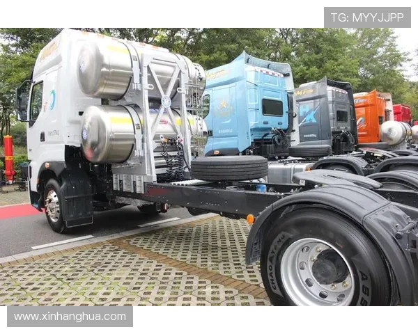 LNG在大师赛中的速度表现分析与战术探讨