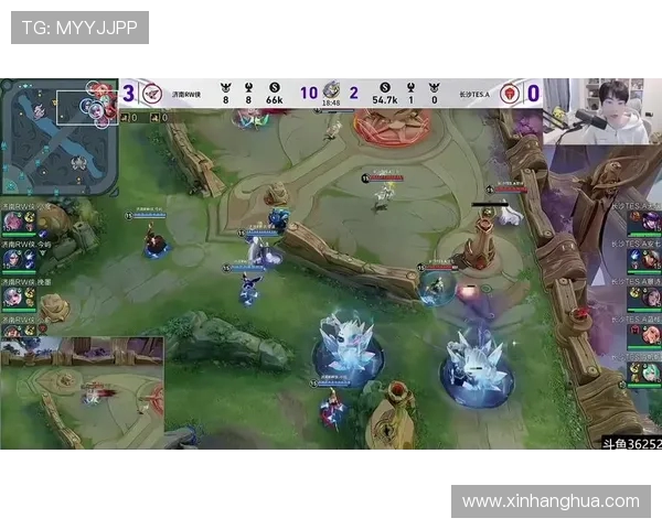 王者荣耀热议TES战队个人能力引发的争议与讨论分析