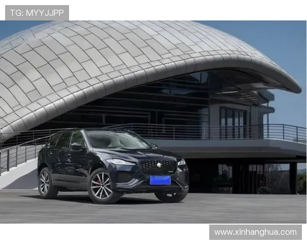 F50与刺客的巅峰对决谁能在速度与操控中胜出 F50与刺客的巅峰对决谁能在速度与操控中胜出