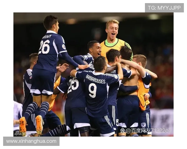 墨尔本胜利对阵首尔精彩视频回顾与赛后分析分享